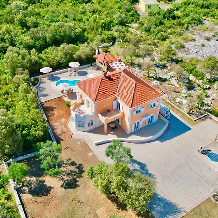 Rarum Daire Drače